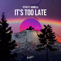 It's Too Late (Single)