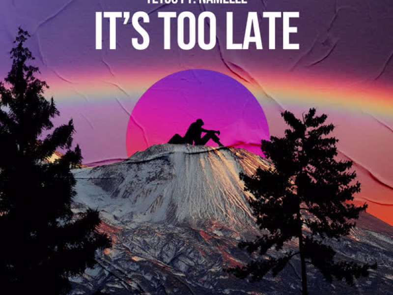 It's Too Late (Single)