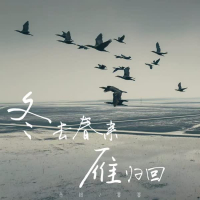 冬去春来雁归回 (Single)