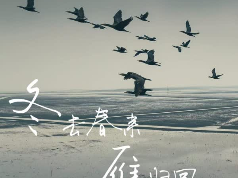 冬去春来雁归回 (Single)