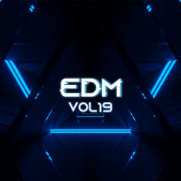 EDM, Vol.19