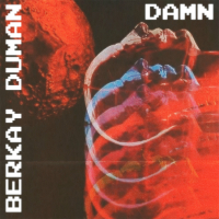 Damn (Single)