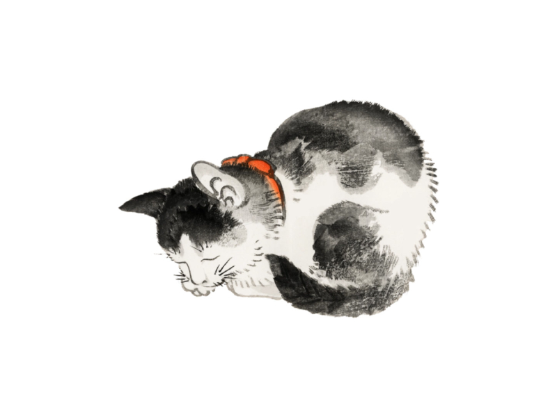 Cat naps (Single)