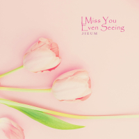 I Miss You Even Seeing (Single)
