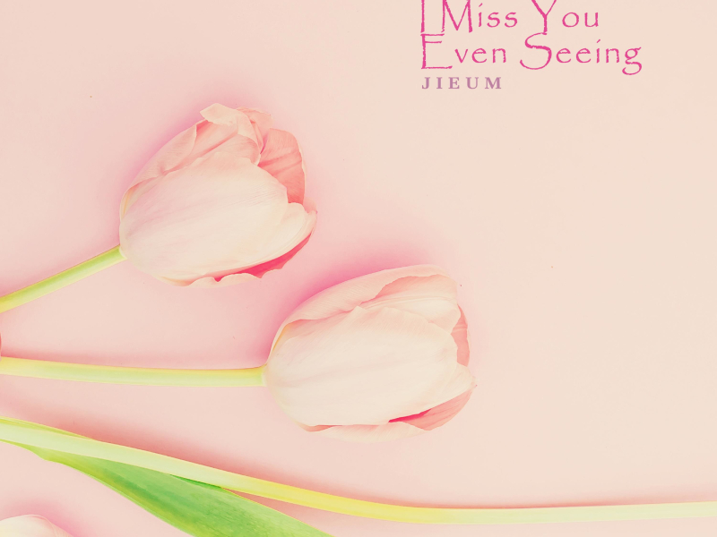 I Miss You Even Seeing (Single)