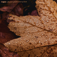 På Godt og Vondt (EP)