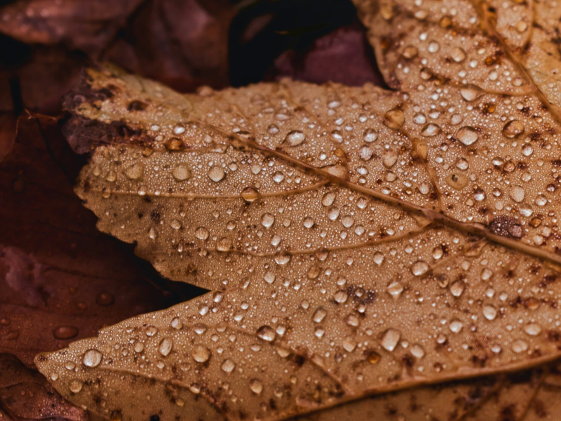 På Godt og Vondt (EP)