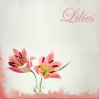 Lilies (Single)