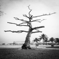 Abandonment (Single)