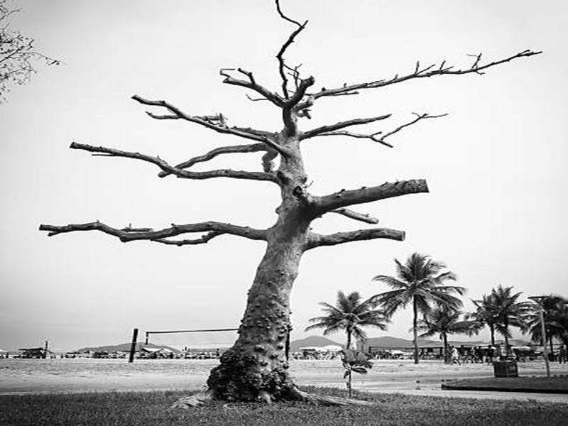 Abandonment (Single)