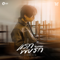 แรกพบรัก (Speed Up) (Single)