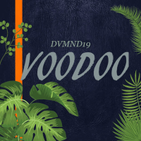 Voodoo (Single)