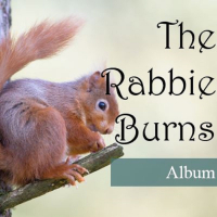 The Rabbie Burns Album