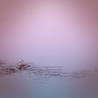 Soft Water Drop Sound for Deep Focus and Creativity (Single)