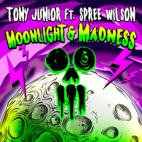 Moonlight & Madness (Single)