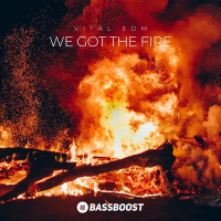 We Got The Fire (Single)