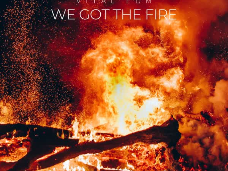 We Got The Fire (Single)