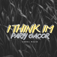 I Think Im Party Gacor (Single)
