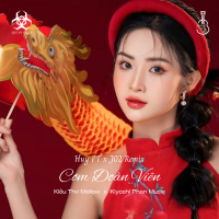 Cơm Đoàn Viên (Huy PT x J02 Remix) (Single)