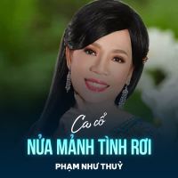 Nửa Mảnh Tình Rơi (Single)