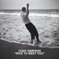 Nice to Meet You (Single)