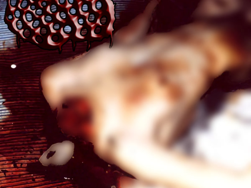 Daily Homicidal Urges (EP)