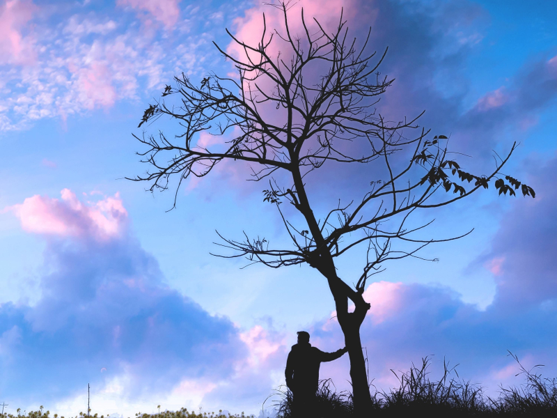 Vibe (Instrumental) (Single)