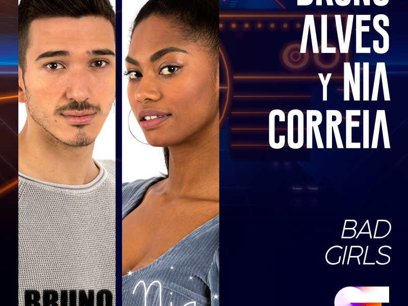 Bad Girls (Single)