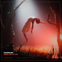 Bring Me To Life (Single)