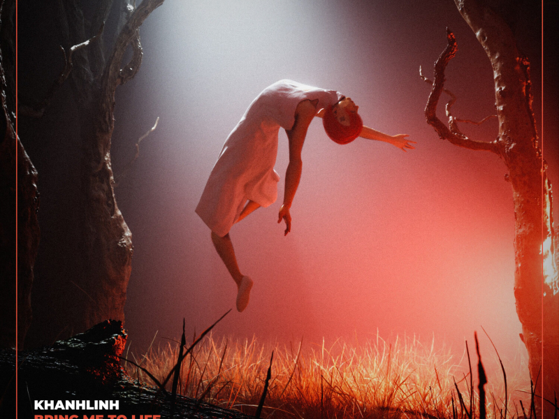 Bring Me To Life (Single)