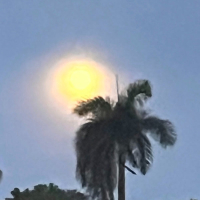 until tomorrow (Single)