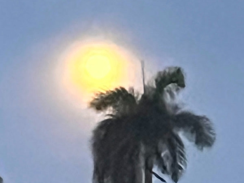 until tomorrow (Single)