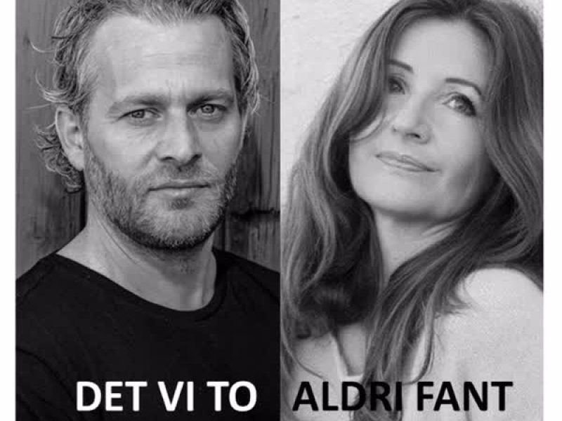 Det vi to aldri fant (Single)