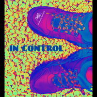 In Control (Single)