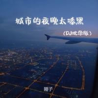 城市的夜晚太漆黑 (DJ沈念版) (Single)