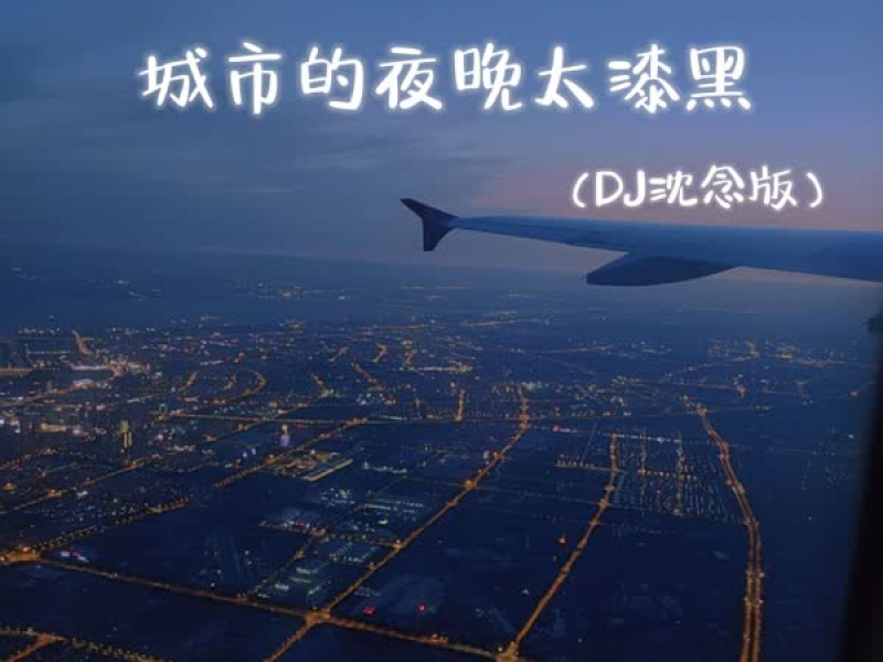 城市的夜晚太漆黑 (DJ沈念版) (Single)