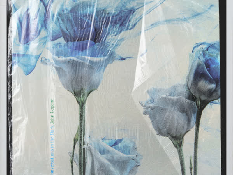 Conversations in the Dark (Single)