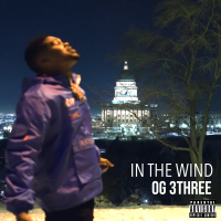 In The Wind (Single)