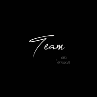 Team (Single)