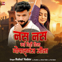 Nash Nash Kai Dihi Dhila Gopalganj Jila (Single)