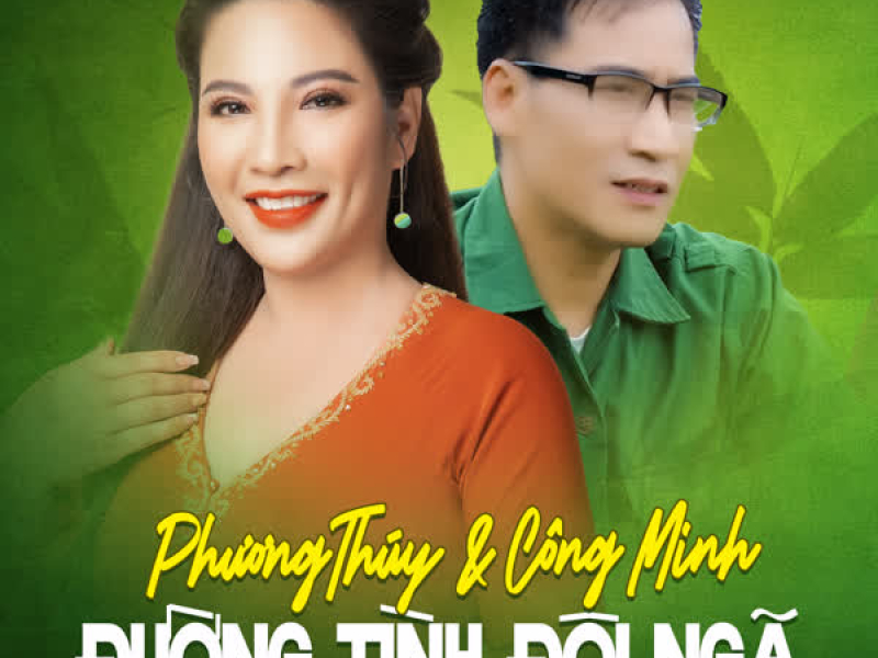 Đường Tình Đôi Ngã (Single)