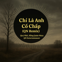 Chỉ Là Anh Cố Chấp (QN Remix) (Single)