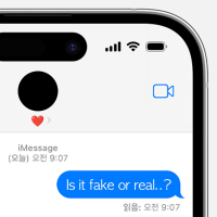 Fake or Real (Single)