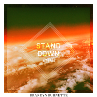 Stand Down (feat. LaRaisha)