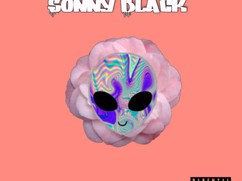 Blind Man's Security