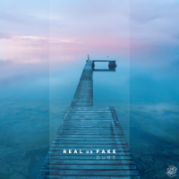 Real Or Fake (Single)