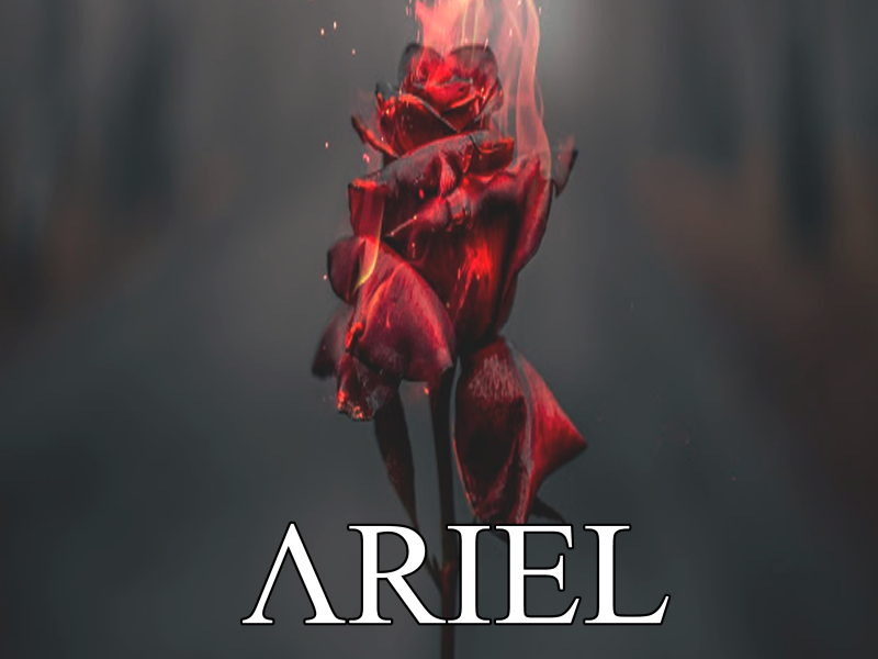 Where the Roses Burn I