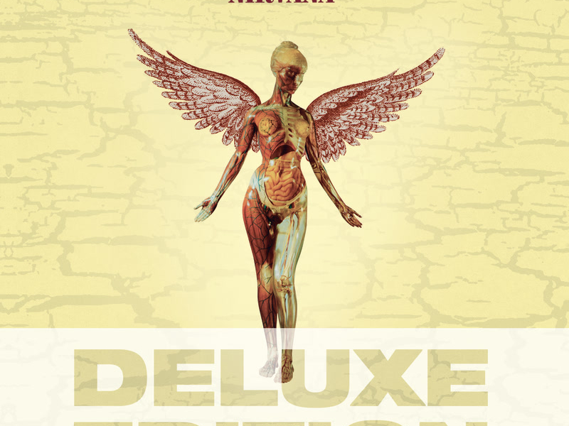 In Utero - 20th Anniversary - Deluxe Edition