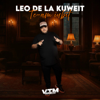 Te-am iubit (Single)