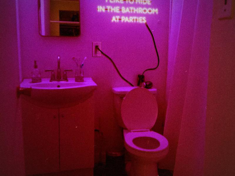 I Like to Hide in the Bathroom at Parties (Single)